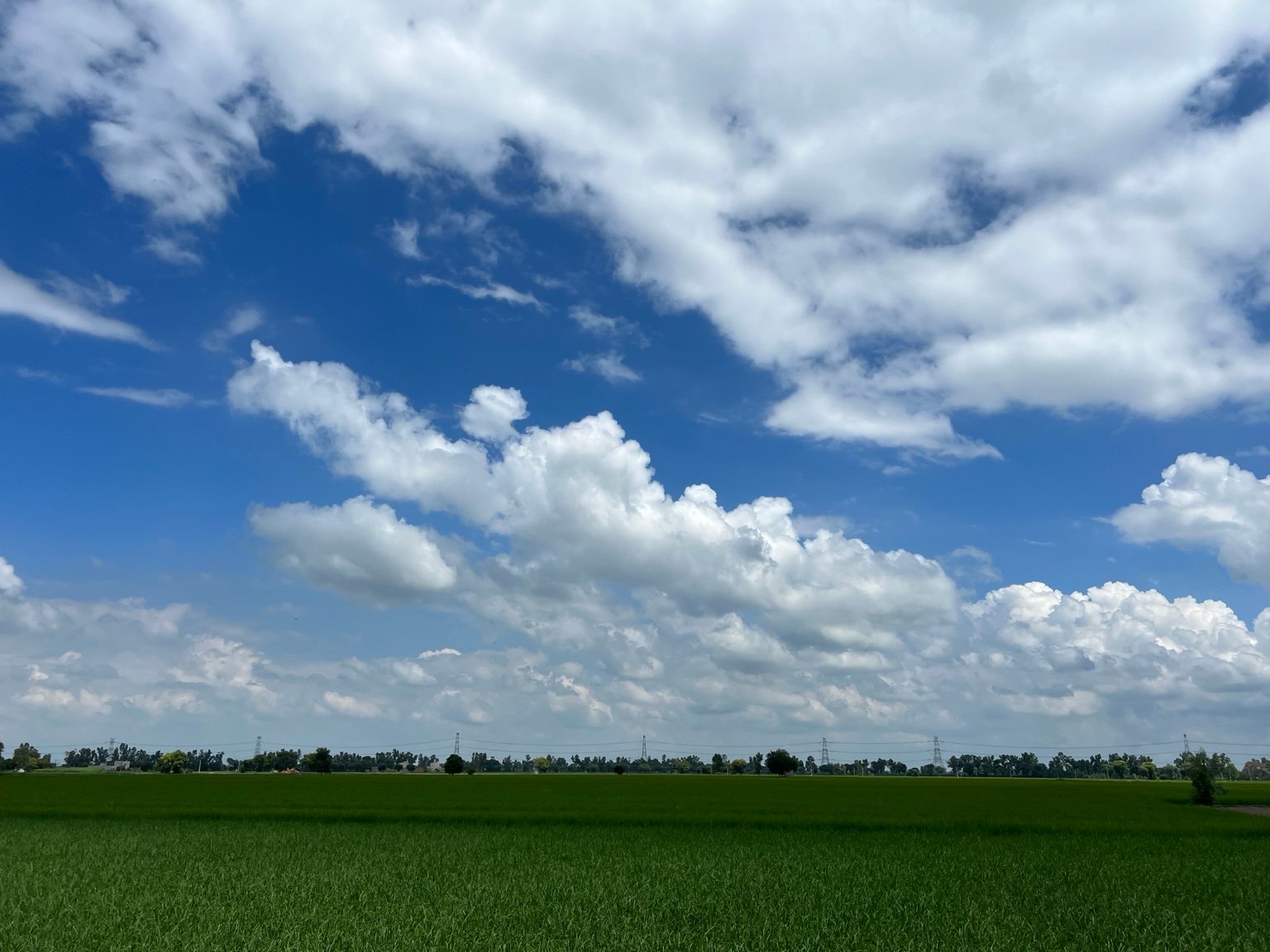 Wide green fields under blue clouds at the farm